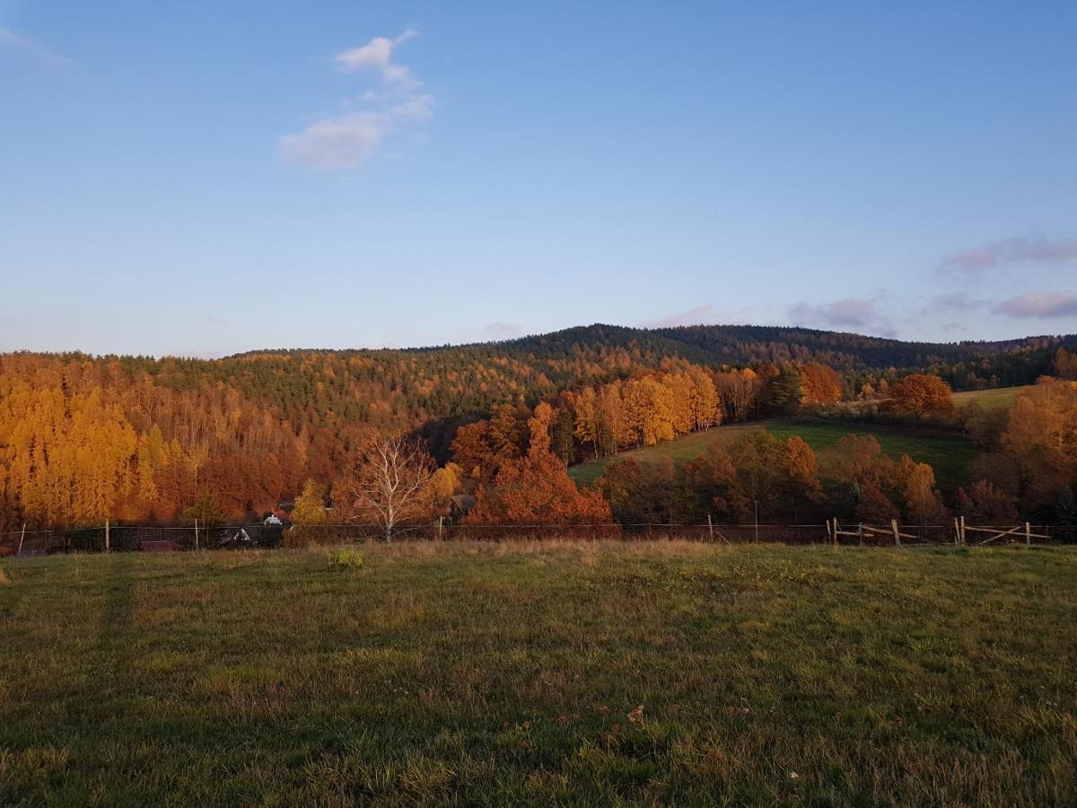 Ferienwohnung Bonndorf Wasungen Екстер'єр фото